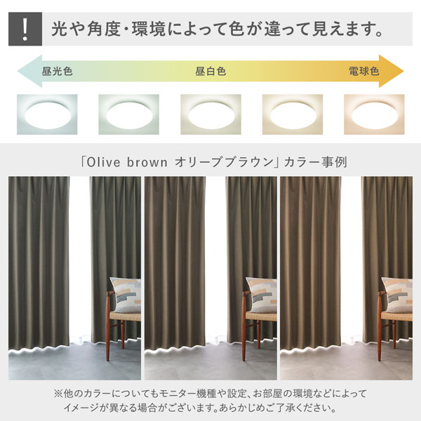 国産 1級遮光 ドレープカーテン 単品 幅200×丈80cm 1枚入 ライトグリーン 洗える 遮熱 遮音 遮光カーテン インテリア用品 国産 1級遮光 ドレープカーテン 単品 幅200×丈80cm 1枚入 ライト