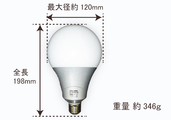 投光器 電球 交換 led 100v ビッグルミネ 30W 屋内用 超高輝度