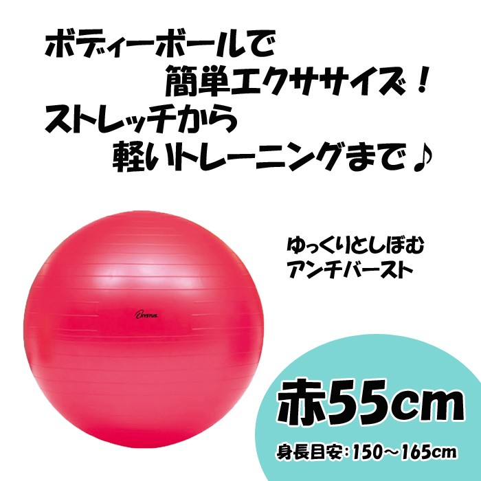 ボディーボール55 赤 レッド トーエイライト ストレッチ エクササイズ 運動 高齢者 便利 コンパクト プレゼント 贈り物