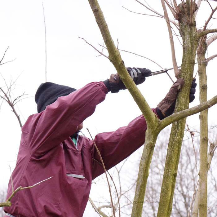シルキー Silky GOMBOY コンパネ 剪定 乾燥木材 生木 横挽 縦挽 斜め挽 木工事