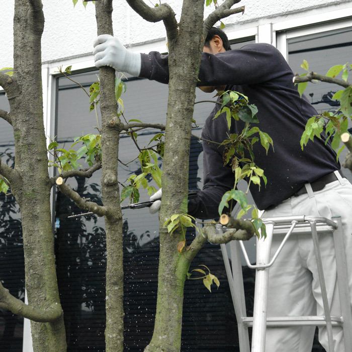 シルキー 木工事