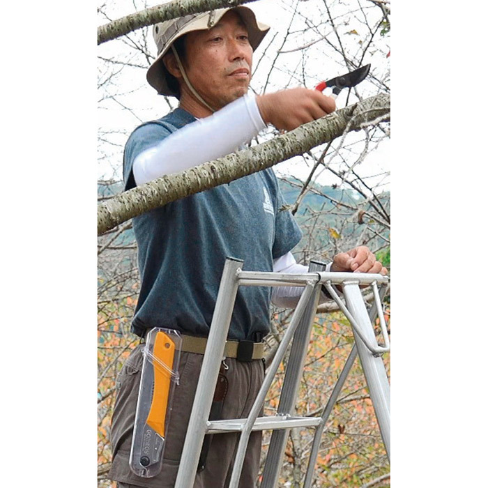 シルキー Silky GOMBOY コンパネ 剪定 乾燥木材 生木 横挽 縦挽 斜め挽 木工事