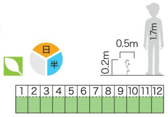 カレンダー