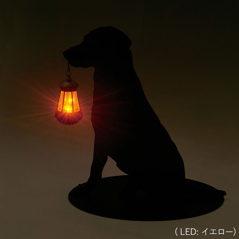 掛軸 光明 犬 合わせ箱 横物 動物 ファッションの 掛軸 光明 犬 合わせ箱 横物 動物 書 - 書