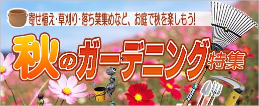 秋のガーデニング特集