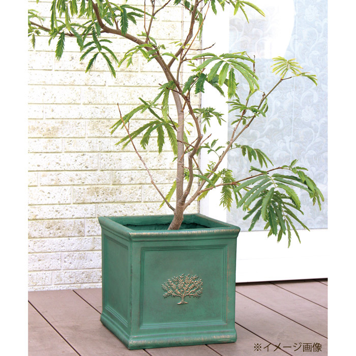 鉢・プランター GreenLife 楽天市場】(（メーカーグリーンライフ）（植木鉢・プランター