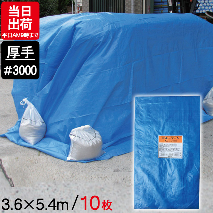 ブルーシート 厚手 5.4×3.6m #3000 10枚単位 レジャー シート 敷物 ござ 災害 台風 防災 養生 対策 運動会 行楽 花見 海水浴 キャンプ テント 雨よけ 防水 屋外 アウトドア 作業 道具  DIY