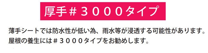 ブルーシート 厚手 レジャー シート 敷物 ござ 災害 台風 防災 養生 対策 運動会 行楽 花見 海水浴 キャンプ テント 雨よけ 防水 屋外 アウトドア 作業 道具  DIY