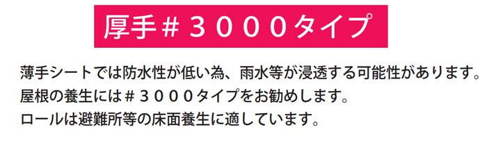 ブルーシート 原反 レジャー シート 敷物 災害 台風 防災 養生 運動会 行楽 花見 海水浴 キャンプ 作業 道具 DIY