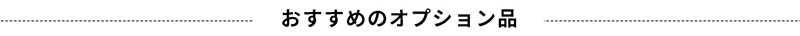 おすすめのオプション品