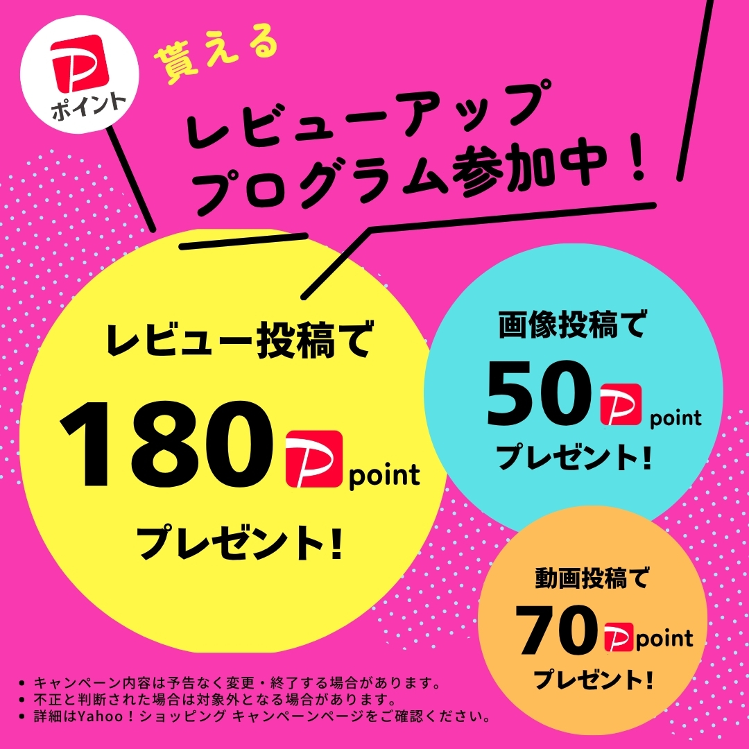 “レビューアッププログラム”
