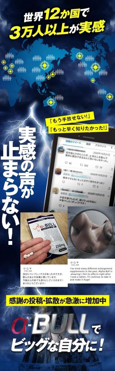 商品詳細 α-BULL（アルファブル）-[救済.com]