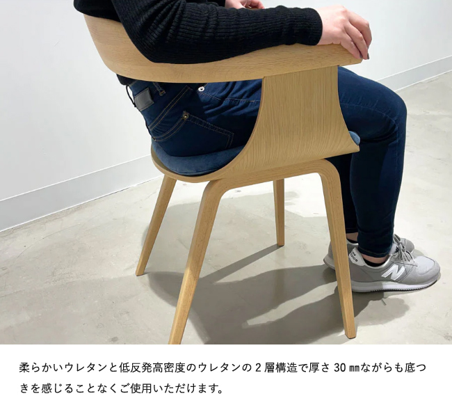 冨士ファニチア Nagi 【D04540 専用シートクッション】フジファニチア