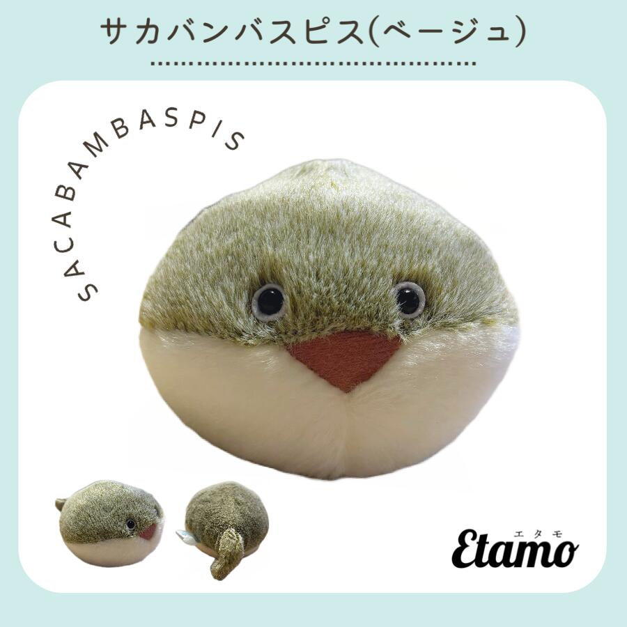 チャウテセイ　にわとりのホチャホチャ チャボ (鶏) - Wikipedia