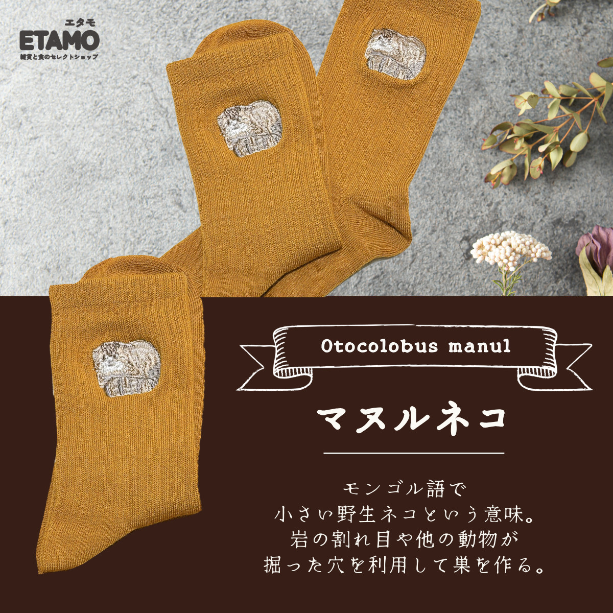 靴下 ワンポイント かわいい 刺繍 動物 クルーソックス レディース 黒