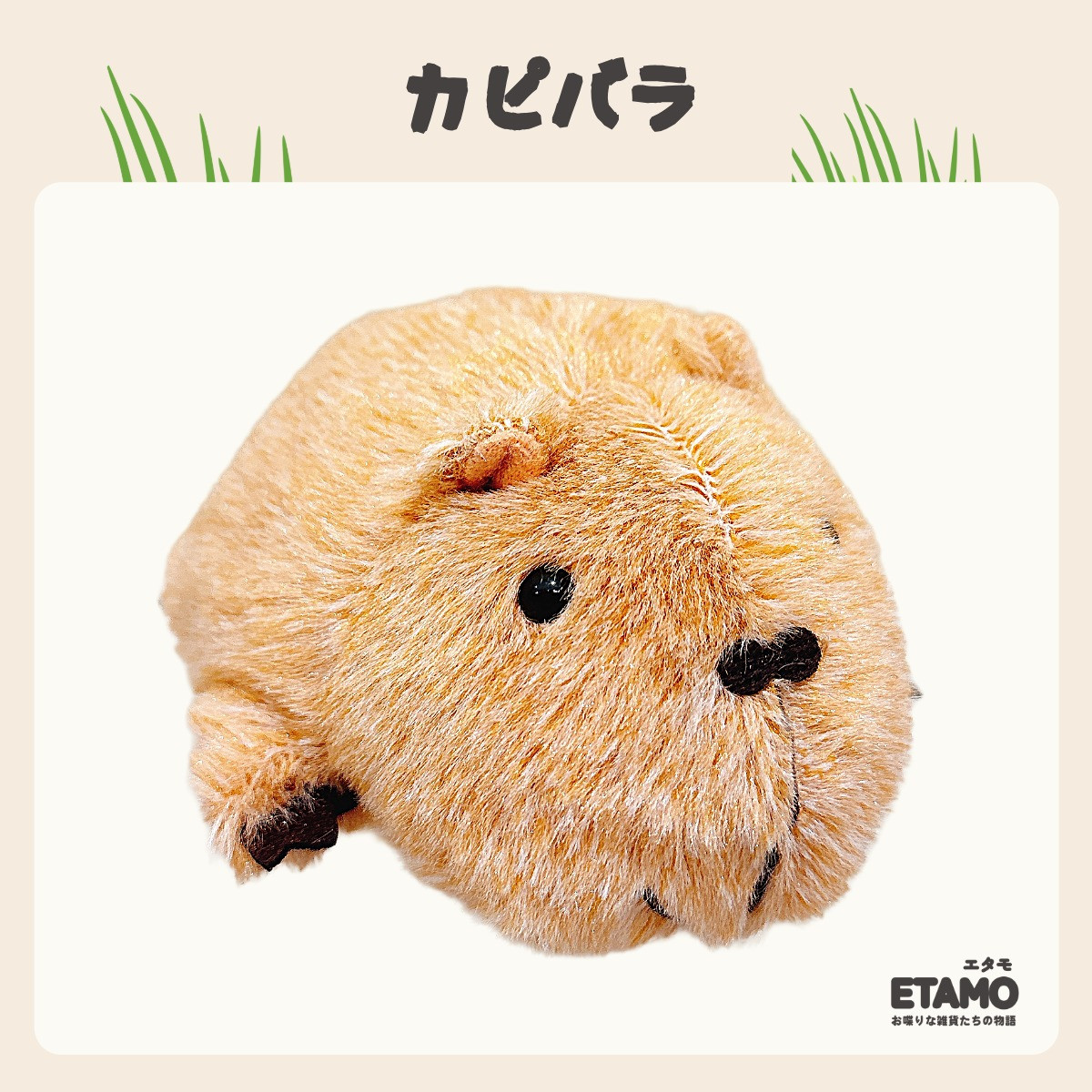 カピバラ ぬいぐるみ 動物園の商品一覧 通販 - Yahoo!ショッピング