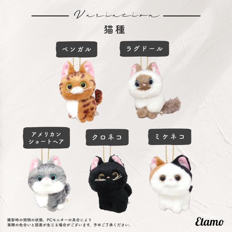 こにゃんころん ネコ ボールチェーン キーホルダー アメショ ベンガル
