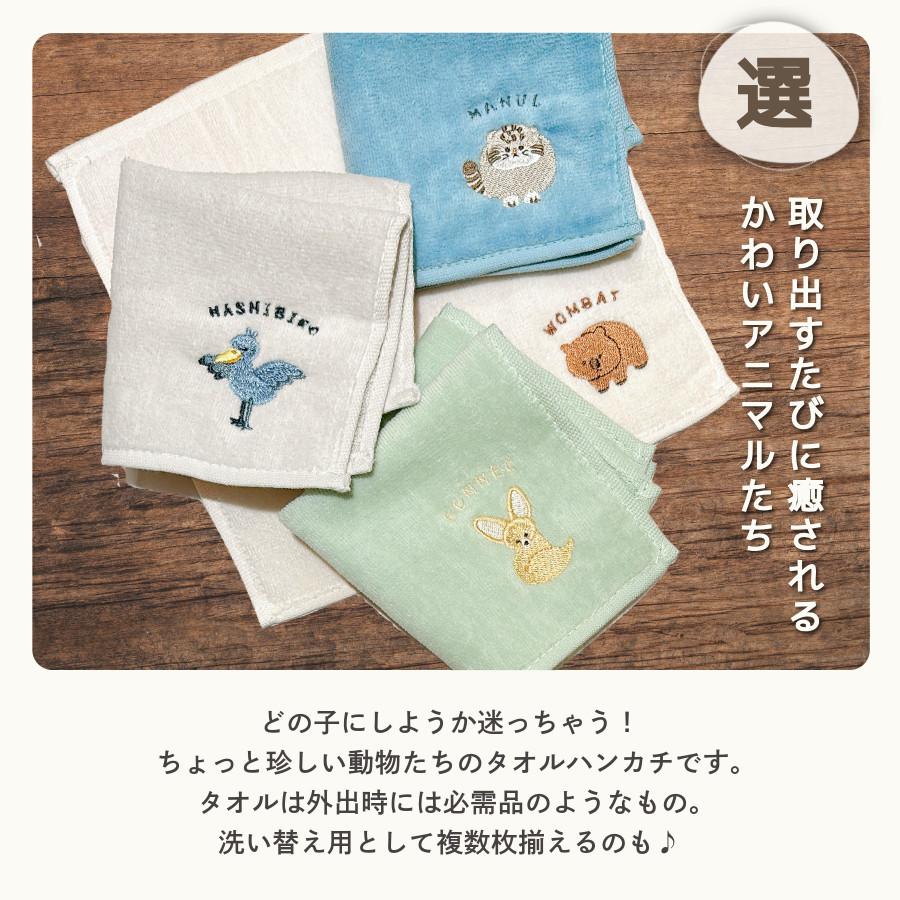 レアアニマル タオルハンカチ キーウィ マヌルネコ 動物園 グッズ お