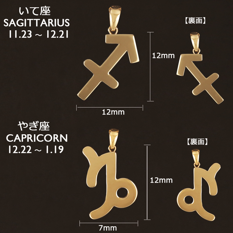 18金 ネックレス レディース K18 星座 ゾディアックサイン 地金 ジガネ ゴールド 選べる12星座