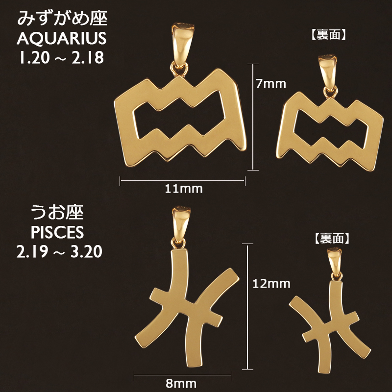 18金 ネックレス レディース K18 星座 ゾディアックサイン 地金 ジガネ ゴールド 選べる12星座