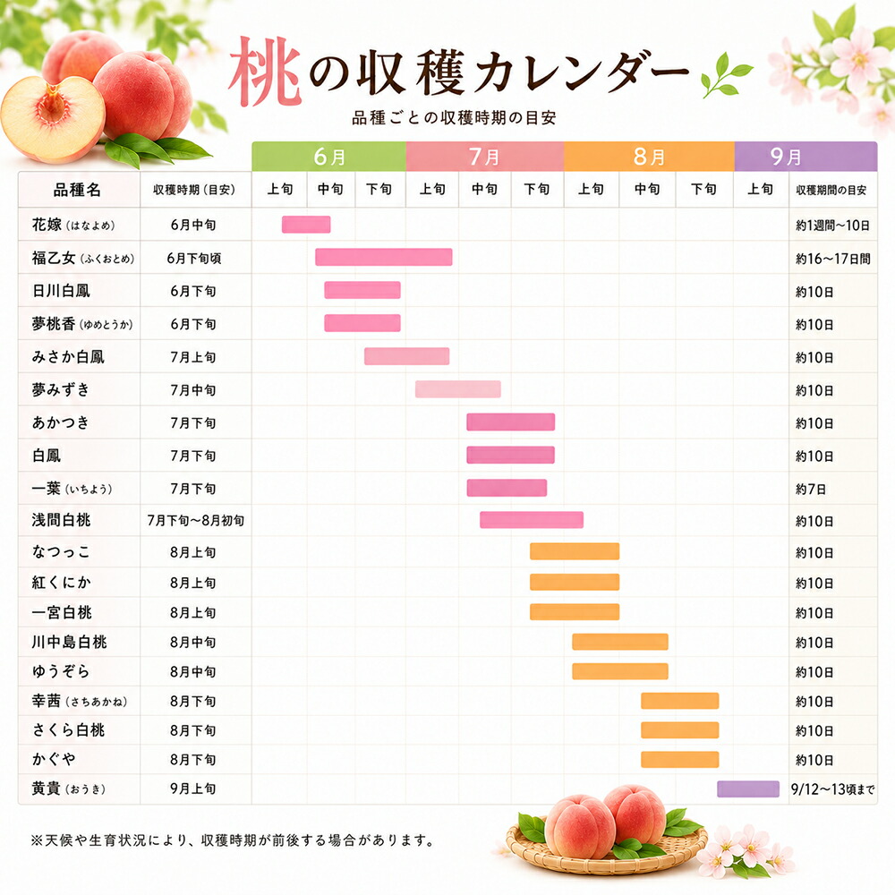 桃 山梨県産 秀品 11個 3.5kg~4kg 白鳳 白桃 なつっこ 夢しずく ゆめ
