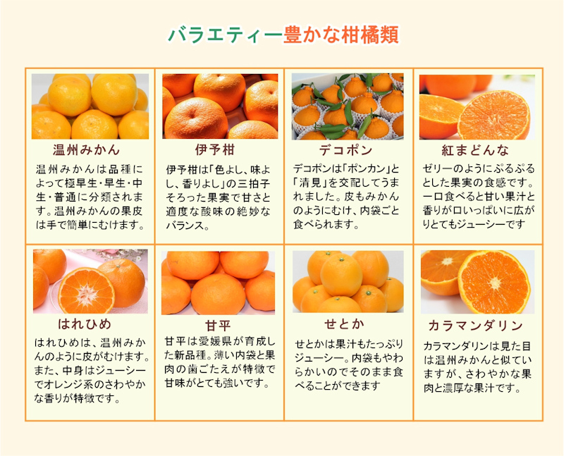 同梱不可】 JAえひめ中央 愛媛県産 紅まどんな 甘平 せとか 柑橘ゼリー 6個