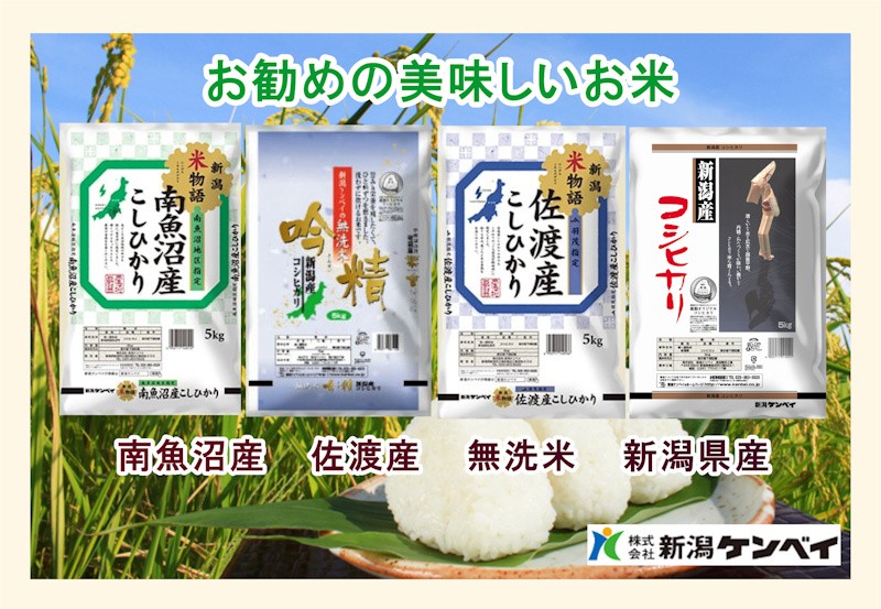 令和6年産 新潟産 にじのきらめき 新潟米 20kg JA農協米 新潟 令和6年産 新潟産 にじのきらめき 新潟米 20kg JA農協米 新潟