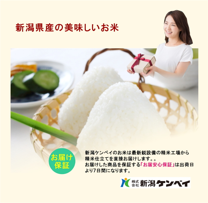 令和7年産 新潟産 にじのきらめき 新潟米 5kg JA農協米 新潟