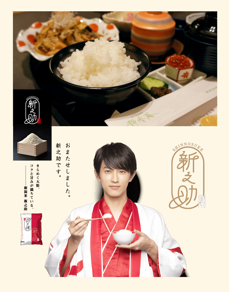 令和7年産 新之助 新潟県産 新潟県 新潟県認証 新ブランド米 30kg