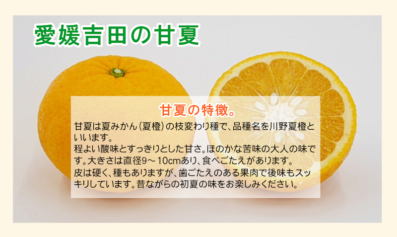 フルーツ みかん 甘夏 愛媛県 愛南町 みかん果樹園 吉田農園 樹上完熟栽培 吉田の甘夏 10kg 送料無料 :yosida-ama10:産直越後屋  - 通販 - Yahoo!ショッピング