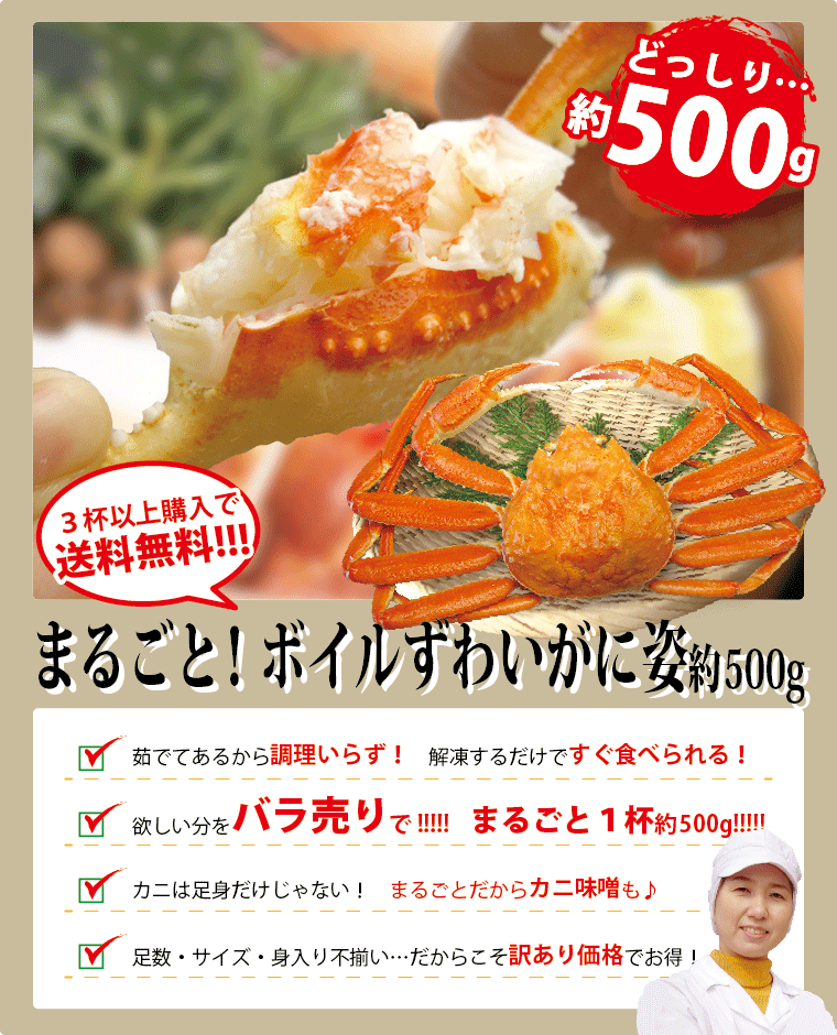 新物 カニ かに 蟹 特大 ズワイガニ ボイル 姿 1杯 セット 約500g 約1人前 かにみそ ギフト ((冷凍)) かに鍋 カニしゃぶ 蟹焼き 3杯 以上購入で送料無料♪ :boil-1:福井のカニ・干物専門店 越前宝や - 通販 - Yahoo!ショッピング