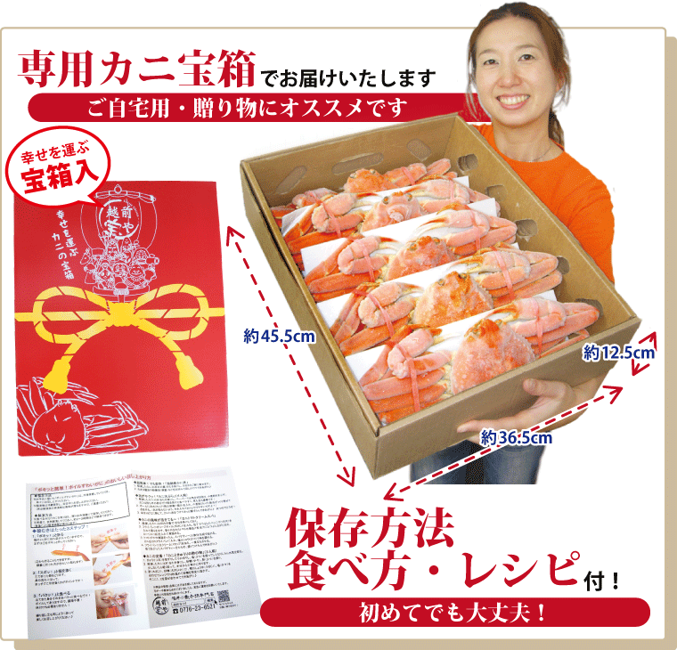 ズワイガニ姿 特大 ズワイガニ 3kg ボイル 5-6杯 (1杯/約500g) ずわい