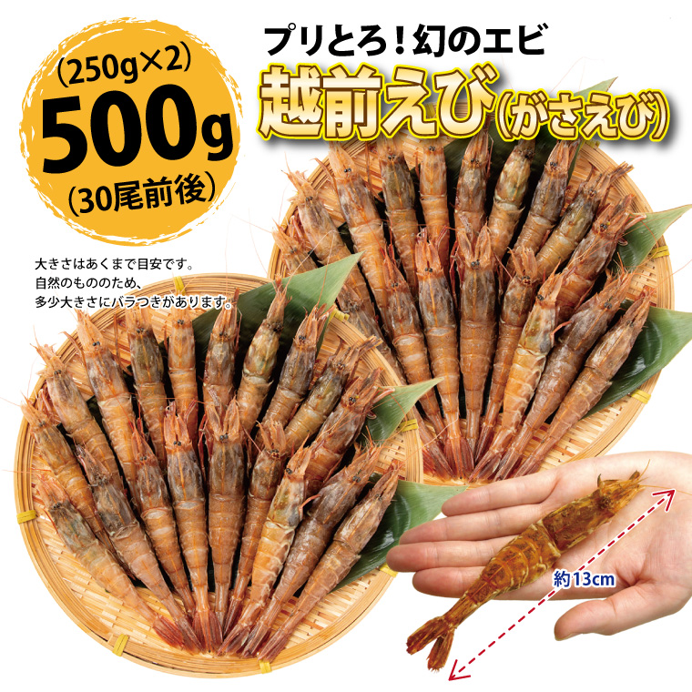 越前えび がさえび 500g 250g 2 30尾前後 刺身用 がらえび ざこえび がすえび とらえび 越前 日本海産 エビ 海老 冷凍 Gasaebi Ko1 福井のカニ 干物専門店 越前宝や 通販 Yahoo ショッピング