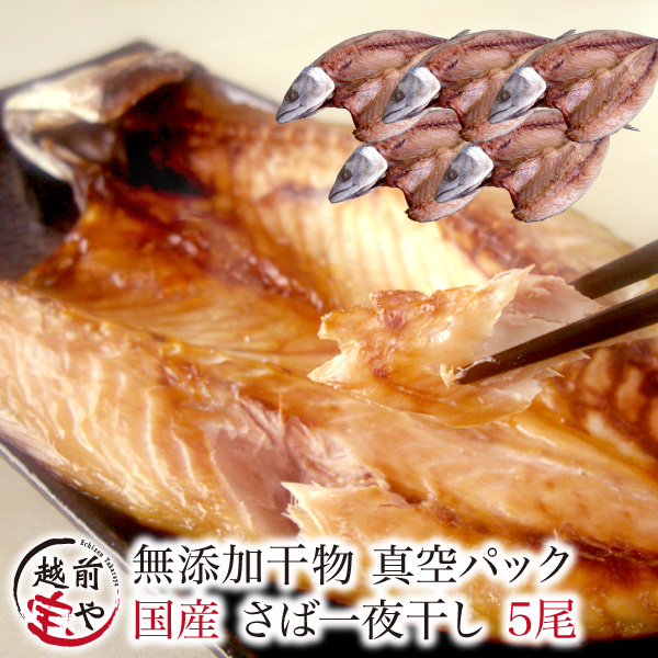 さば 干物 1尾×5パック サバ 鯖 干物セット 真空パック 一夜干し 一夜干し魚 一夜干しセット ((冷凍))｜etizentakaraya