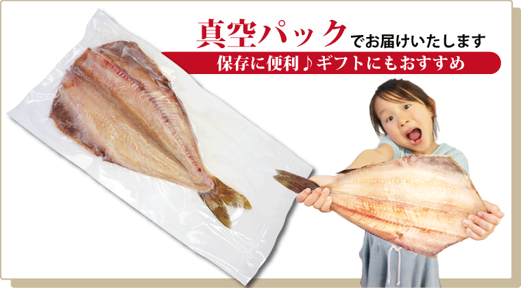 干物 特大 縞ホッケ 肉厚 干し魚 一夜干し 約400g×1尾 ((冷凍)) 条件付送料無料 :hokke1:福井のカニ・干物専門店 越前宝や -  通販 - Yahoo!ショッピング