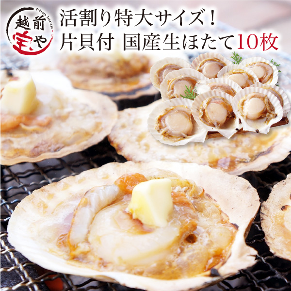 ホタテ ほたて 殻付き 10枚 海鮮セット 海鮮バーベキュー BBQ バーベキュー お取り寄せ 海鮮鍋 海鮮おせち ((冷凍))｜etizentakaraya