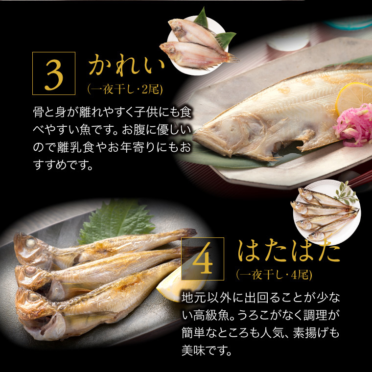 父の日 プレゼント ギフト 干物 6種13枚 のどぐろ 魚 お取り寄せ 一夜干し ((冷凍))｜etizentakaraya｜12