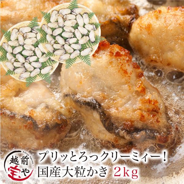 牡蠣 冷凍 生 広島産 2.0kg (60粒前後入) 加熱用 海鮮BBQ バーベキュー 海鮮鍋 鉄板焼き 牡蠣フライ ((冷凍))｜etizentakaraya