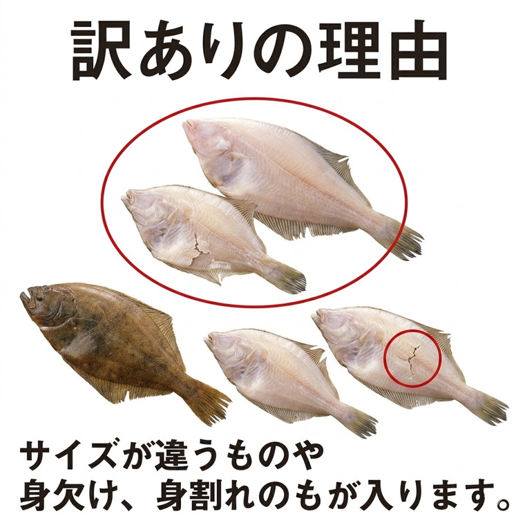 干物 訳あり かれい 1kg 9〜15枚 取り...の詳細画像3