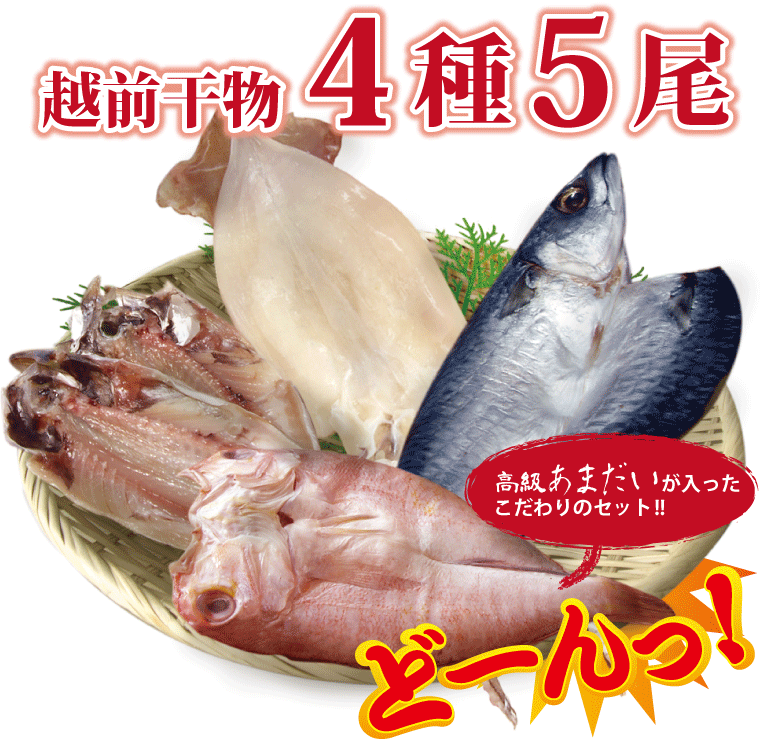 プレゼント ギフト 食品 干物 セット 夏 旬 越前産 4種5尾 送料無料 一夜干し 冷凍 内祝 誕生日 Shun Summer 福井のカニ 干物専門店 越前宝や 通販 Yahoo ショッピング