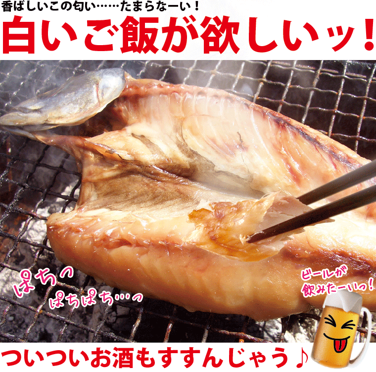 干物 越前産 サバ さば 鯖 1尾 真空パック 一夜干し 冷凍 H S01 1 福井のカニ 干物専門店 越前宝や 通販 Yahoo ショッピング