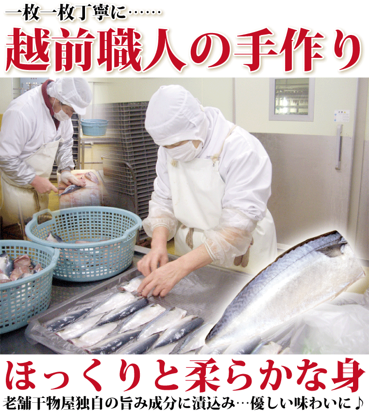 干物 越前産 イカ いか スルメイカ 5枚 干物セット 真空パック 一夜干し するめいか 冷凍 H Ika01 福井のカニ 干物専門店 越前宝や 通販 Yahoo ショッピング