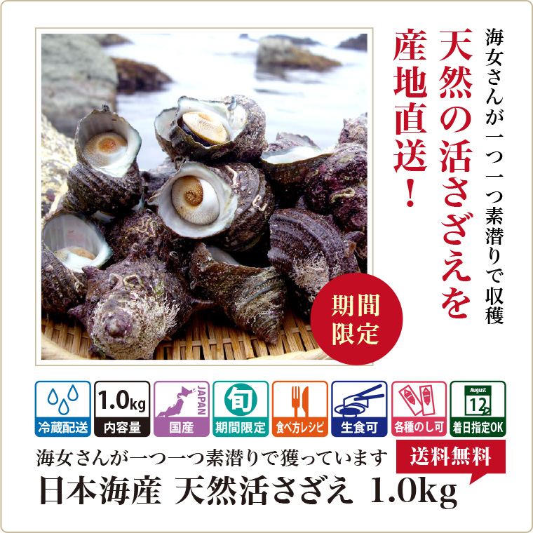 サザエさん（食品）のおすすめ人気商品一覧 通販 - Yahoo