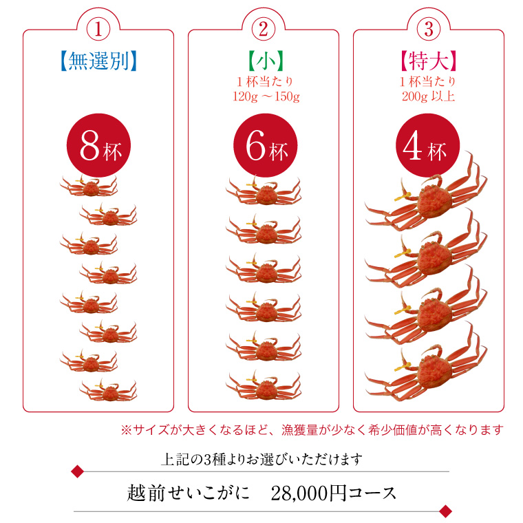 「11/24までのお届け⇒20％割引22,400円 」 越前ガニ メス かに カニ セイコ 香箱 28,000円コース（4杯/6杯/8杯） ((冷蔵))