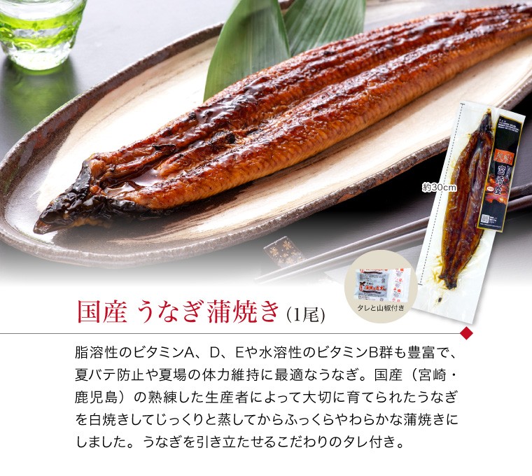 うなぎ 蒲焼 1尾 + 煮魚 焼き魚 4種8切セット 焼魚 レンジで温める