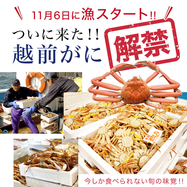 【セール】福袋のファッション通販 set-zuwai-kaikin.jpg ズワイガニ