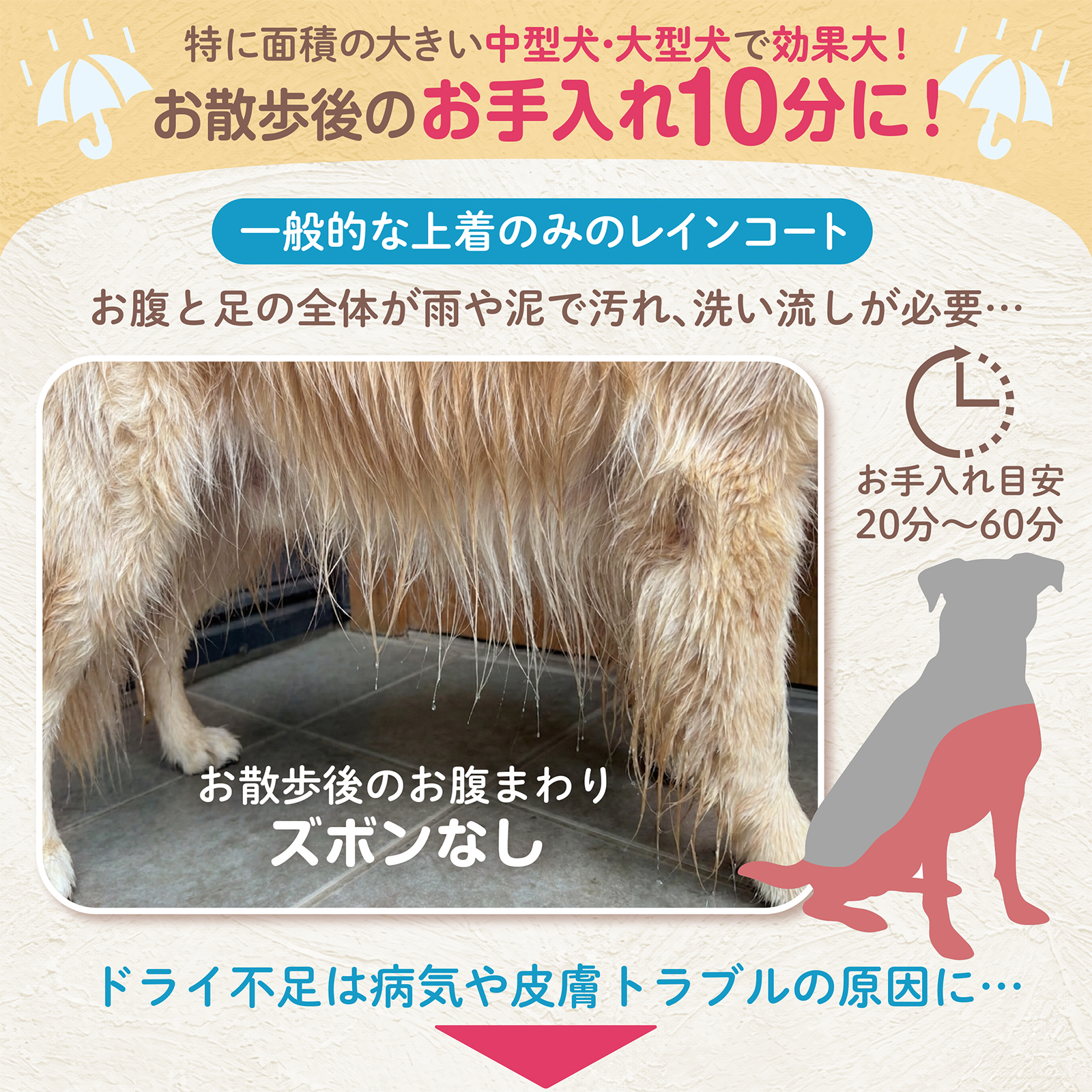 [今だけ★レビューで特典配布中★] 犬 レインコート 中型犬 大型犬 上下セット 犬用レインコート カッパ 犬用 ペット ペット用 犬用カッパ かっぱ 雨具 犬用雨具 |  | 05