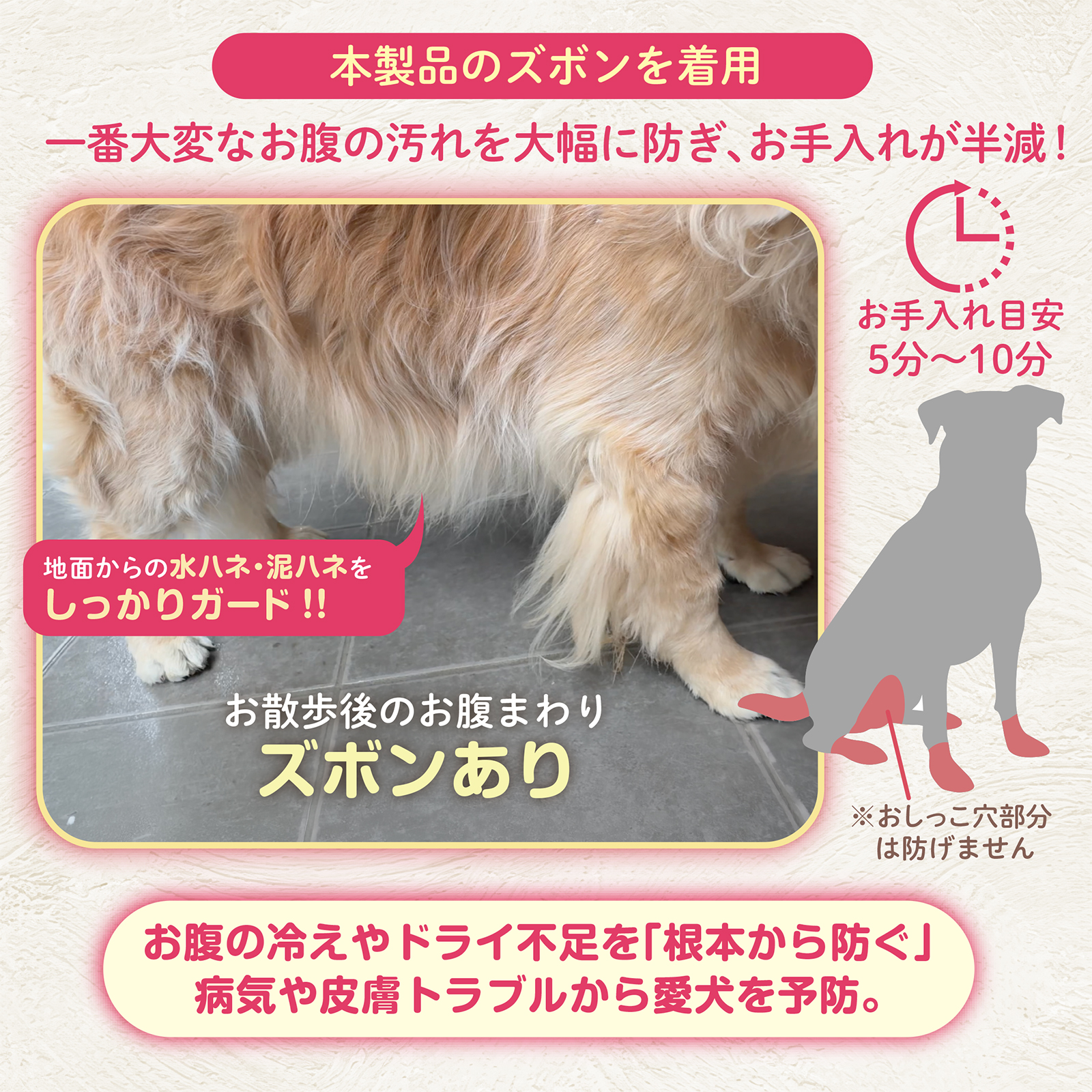 [今だけ★レビューで特典配布中★] 犬 レインコート 中型犬 大型犬 上下セット 犬用レインコート カッパ 犬用 ペット ペット用 犬用カッパ かっぱ 雨具 犬用雨具 |  | 06