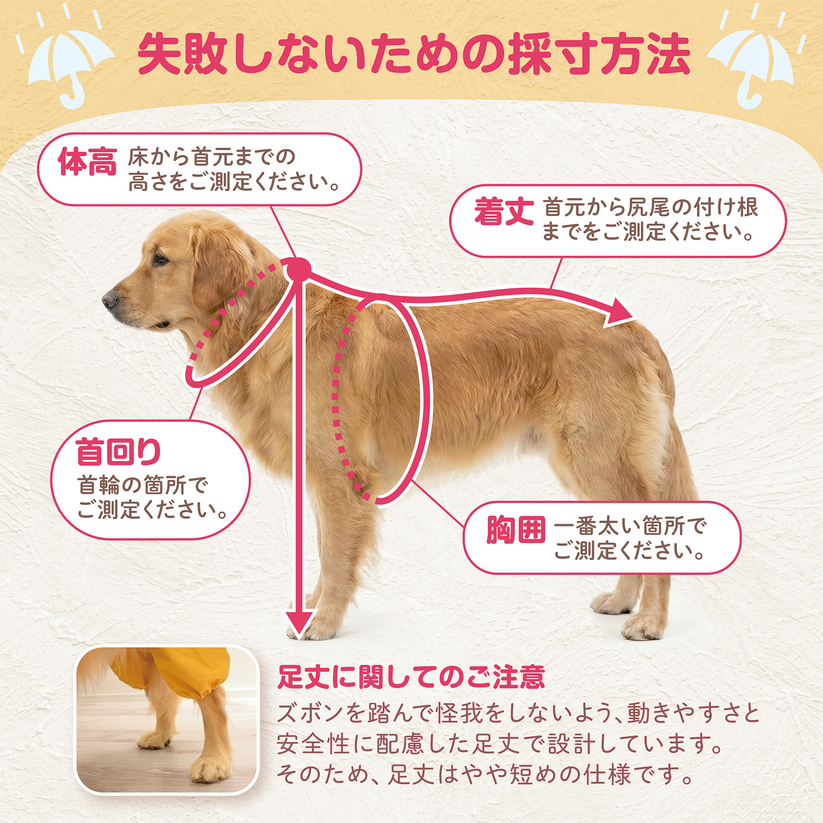 [今だけ★レビューで特典配布中★] 犬 レインコート 中型犬 大型犬 上下セット 犬用レインコート カッパ 犬用 ペット ペット用 犬用カッパ かっぱ 雨具 犬用雨具 |  | 13