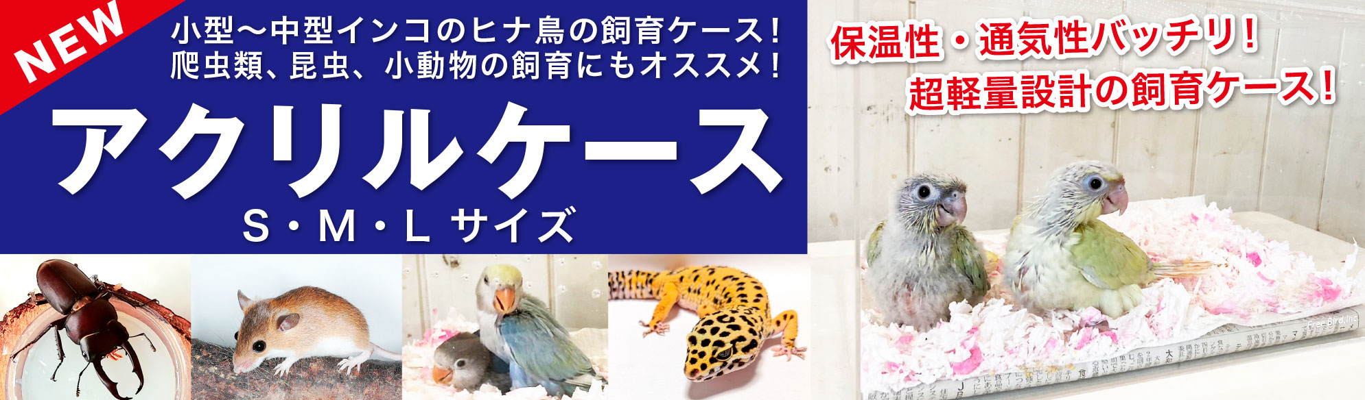 えとぴりかオンラインショップ - Yahoo!ショッピング えとぴりかオンラインショップ - Yahoo!ショッピング